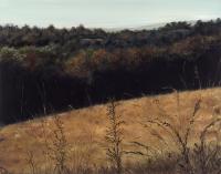                                                            Upper Field In Autumn